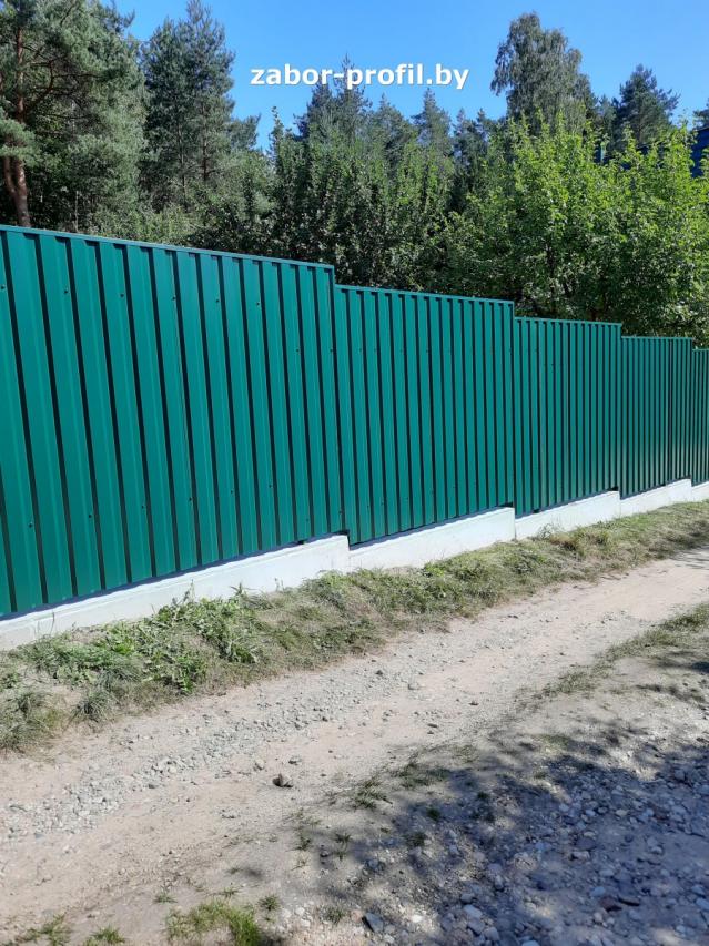 Зеленый мох, RAL 6005, ленточный фундамент Зеленый мох, RAL 6005, ленточный фундамент