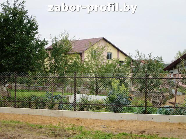 Забор из сетки рабицы. Забор из сетки рабицы.